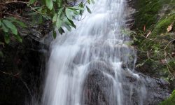 Petite chute