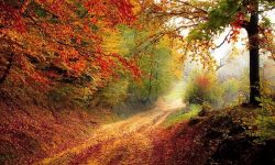 Chemin