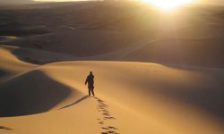 Personne qui marche dans le désert