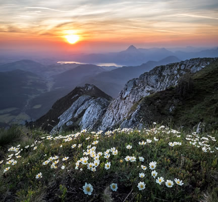 Soleil - Montagnes - Fleurs