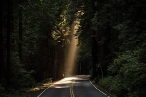 Lumière sur route par John Towner (unsplash.com)