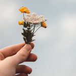 Petit bouquet par Isaac Mehegan (unsplash.com)