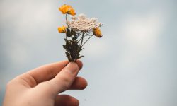 Petit bouquet par Isaac Mehegan (unsplash.com)