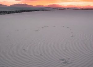 Cœur sur sable avec horizon de Cason Asher (unsplash.com)