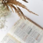 Bible et blé par Jasmin Ne (unsplash.com)