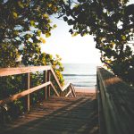 Path, Sea by Kenrick Mills (unsplash.com)