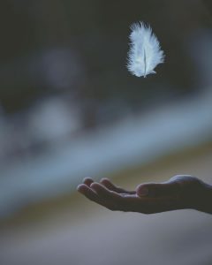 Main et plume par Javardh (unsplash.com)