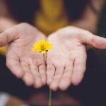 Mains qui offrent une fleur par Lina Trochez (unsplash.com)