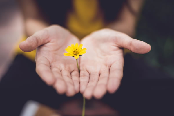 Mains qui offrent une fleur par Lina Trochez (unsplash.com)
