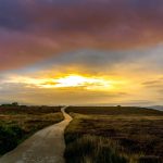 Route, aurore, soleil par Nick Fewings (unsplash.com)