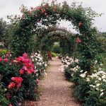 Jardin de fleurs par Annie Spratt (unsplash.com)