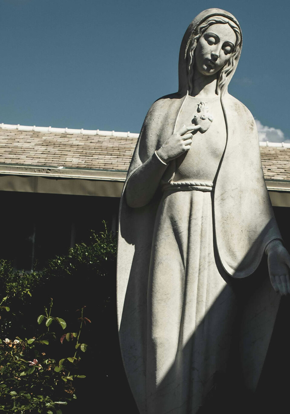 Vierge au cœur tendre et immaculé